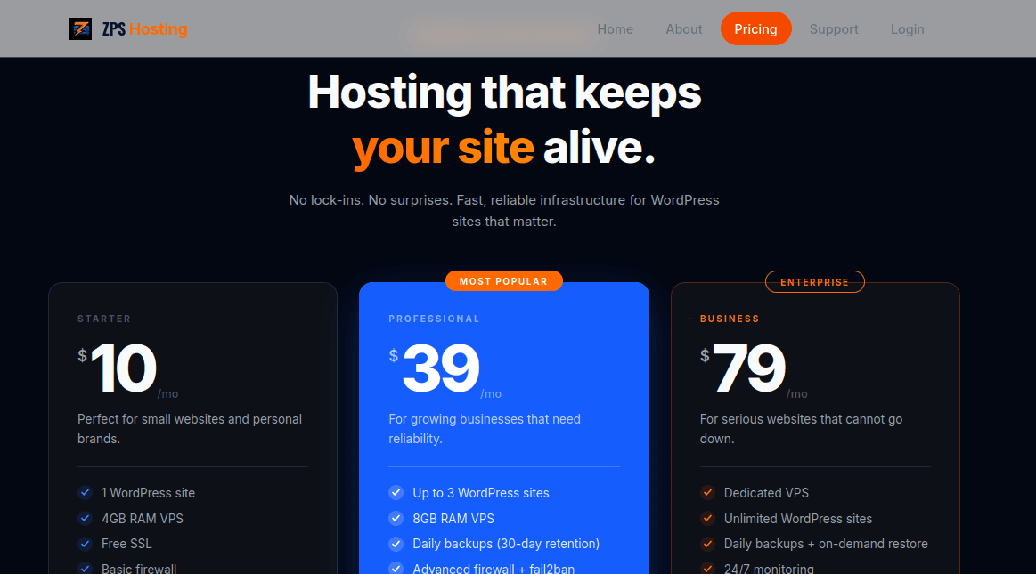 Zps Hosting.COM — visuel projet